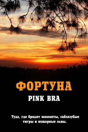 Обложка к Pink Bra. Фортуна