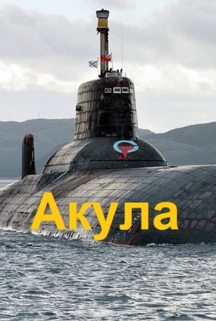 Обложка к Георгий Лопатин. Цикл - Акула