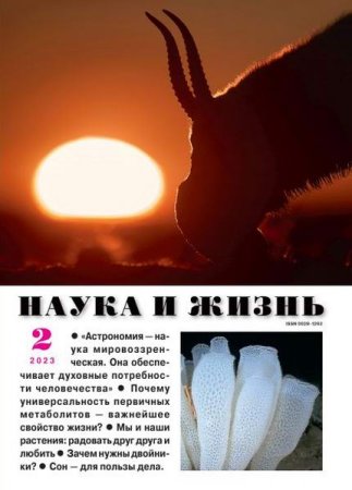 Обложка к Наука и жизнь №2 (февраль 2023)